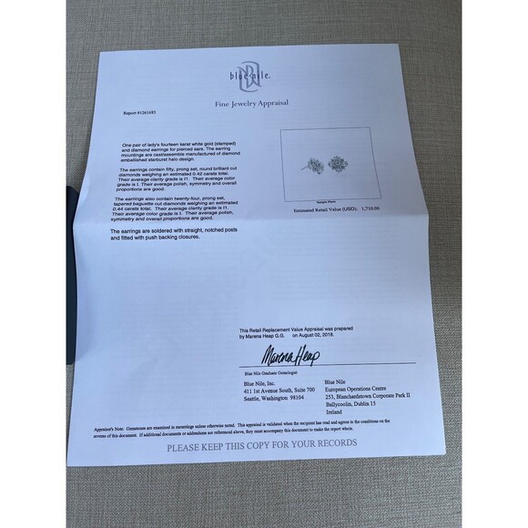 Blue Nile 14K White Gold Diamond Starburst Earrings - Picture 5 of 5